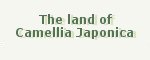 land of camellia